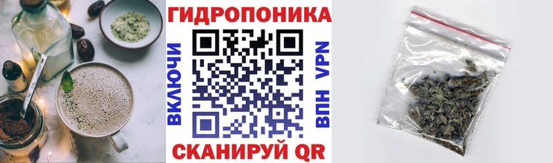 Cannafood конопля  Купить где  Плёс 