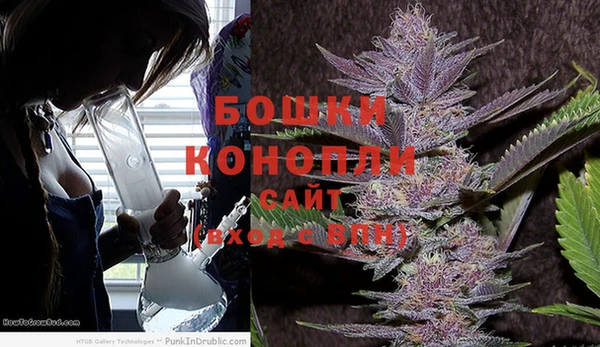 эйфоретик Касимов