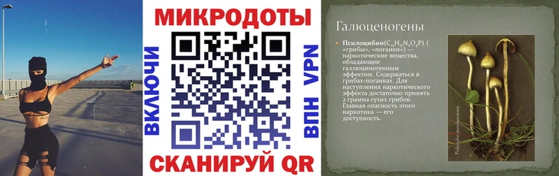Псилоцибиновые грибы прущие грибы  Купить  Плёс 